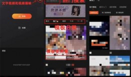 娱乐圈爆料模板抖音视频,抖音视频揭秘明星幕后故事