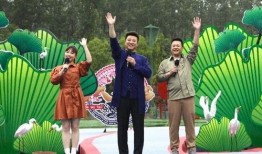 桂平融媒最新爆料视频,揭秘事件背后惊人真相！